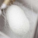 洗えない真綿布団の手入れの仕方と特徴